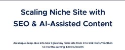 Tejas Rane – Scaling Niche Site with SEO & AI-Assisted Content